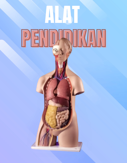 Alat Pendidikan